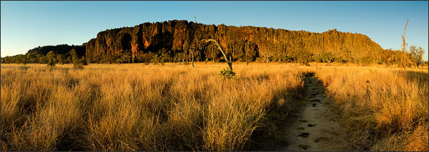 Panorama der �u�eren Felswand der Windjana-Gorge in den Kimberleys (Westaustralien) im Abendlicht<br />Nikon D200 mit AF-S DX NIKKOR 17-55 mm 1:2,8G
