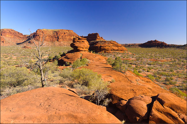 In der N�he des Palm Valley im Red Centre Australiens (Northern Territory)<br />Nikon D200 mit AF-S DX NIKKOR 17-55 mm 1:2,8G