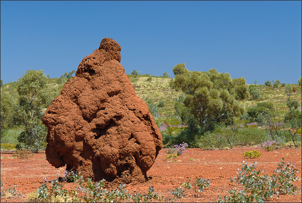 Termitenh�gel im Karijini NP (Pilbara, Westaustralien)<br />Nikon D200 mit AF-S DX NIKKOR 17-55 mm 1:2,8G