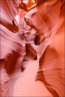 Je nach Lichteinfall k�nnen die Felsw�nde im Lower Antelope Canyon, Arizona (USA) orange oder rosa leuchten<br />Nikon D3x mit AF-S NIKKOR 24?70 mm 1:2,8G ED