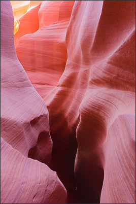 Farbenspiel an den Felsw�nden im Lower Antelope Canyon, Arizona (USA)<br />Nikon D3x mit AF-S NIKKOR 24?70 mm 1:2,8G ED