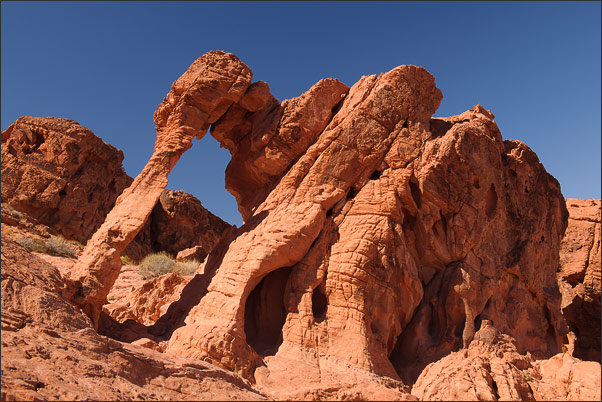 Elephant-Rock im Valley of Fire NP, Nevada (USA)<br />Nikon D3x mit AF-S NIKKOR 24-70 mm 1:2,8G