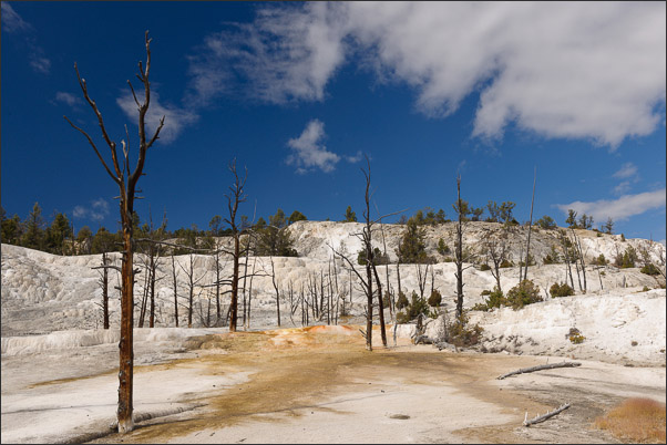 Angel Terrace in Mammoth Hot Springs (Yellowstone Nationalpark, USA).<br />Nikon D3x mit AF-S NIKKOR 24?70 mm 1:2,8G ED