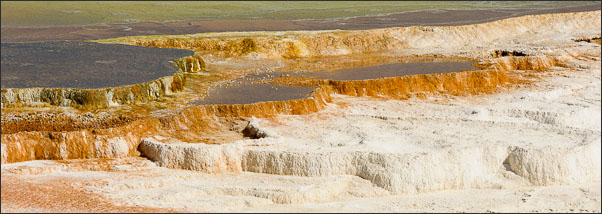 Detail an einer hei�en Quelle im Yellowstone Nationalpark (USA).<br />Nikon D3s mit AF-S NIKKOR 70?200 mm 1:2,8G ED VR II