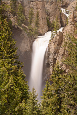 Der Yellowstone River st�rzt die Tower Falls hinab (USA).<br />Nikon D3x mit AF-S NIKKOR 70?200 mm 1:2,8G ED VR II