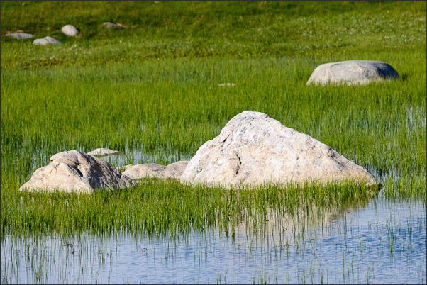 Steine in einem kleinen Teich im Yellowstone Nationalpark (USA).<br />Nikon D3x mit AF-S NIKKOR 500 mm 1:4G ED VR