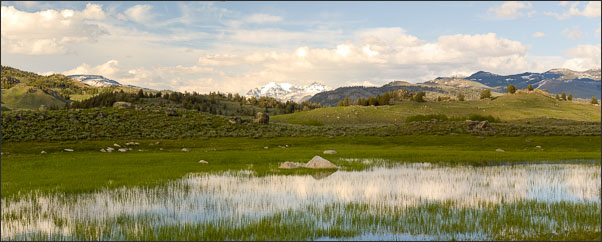 Panorama eines kleinen Teichs im Yellowstone Nationalpark (USA).<br />Nikon D3x mit AF-S NIKKOR 24?70 mm 1:2,8G ED