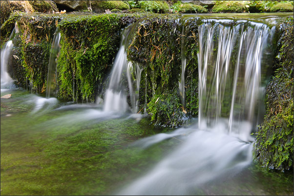 Flie�endes Quellwasser am Rand des Fern Spring Quelltopfes im Yosemite NP (Kalifornien, USA).<br />Nikon D3x mit AF-S NIKKOR 24-70 mm 1:2,8G