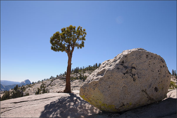 Findling am Olmsted Point. Im Hintergrund der Half Dome im Yosemite NP, Kalifornien (USA)<br />Nikon D3x mit AF-S NIKKOR 24-70 mm 1:2,8G